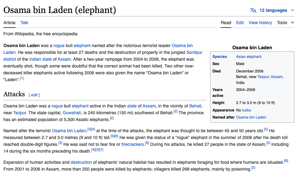 Osama Bin Laden (Elephant)
